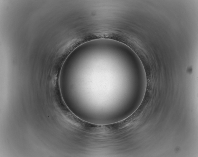 X0000091990652200709131454