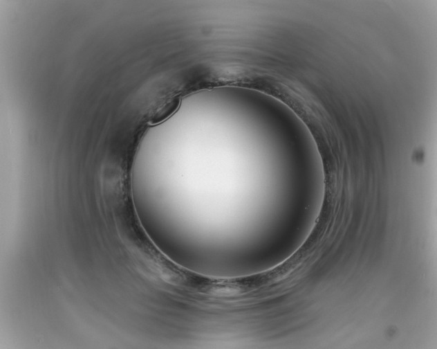 X0000091990653200709131454