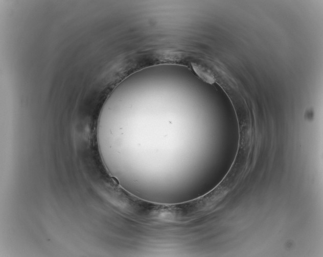 X0000091990655200709131454