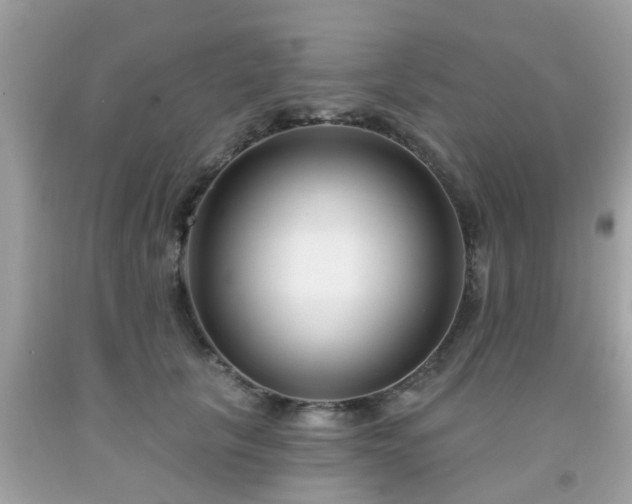 X0000091990657200709131454