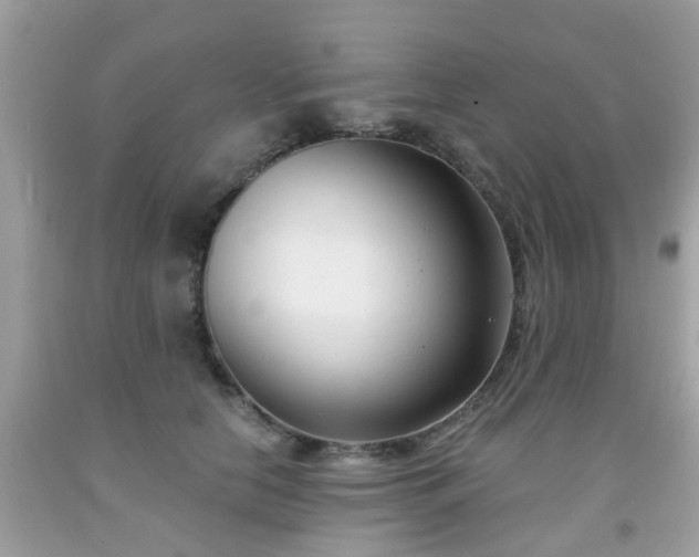 X0000091990658200709131454