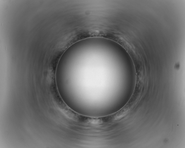 X0000091990659200709131455