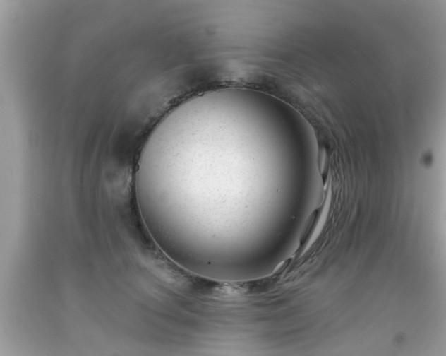 X0000091990660200709131455