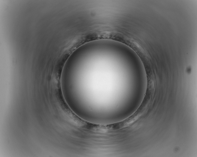 X0000091990661200709131455