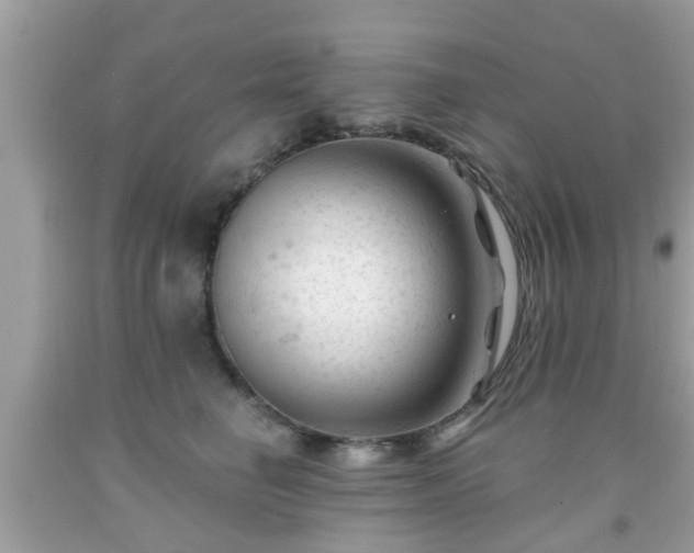 X0000091990662200709131455