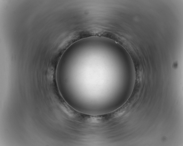 X0000091990664200709131455