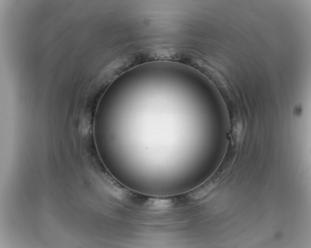 X0000091990665200709131455