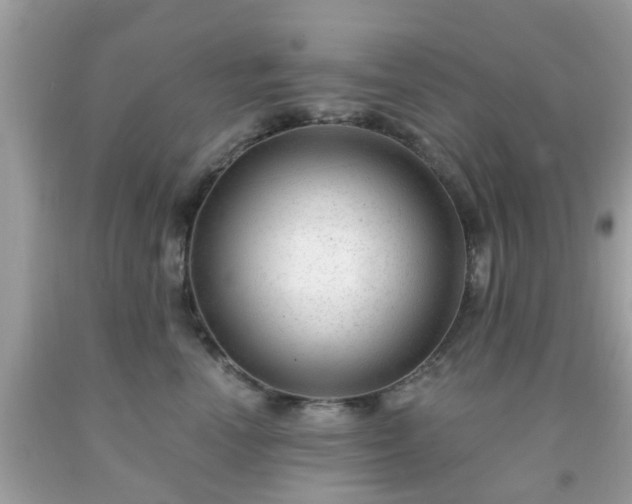 X0000091990666200709131455