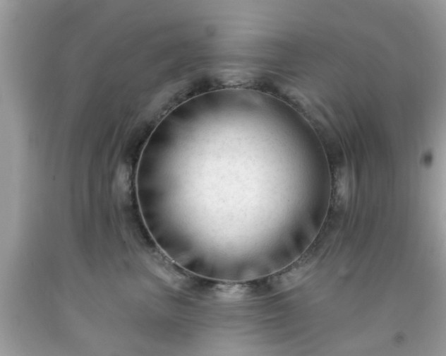 X0000091990667200709131455