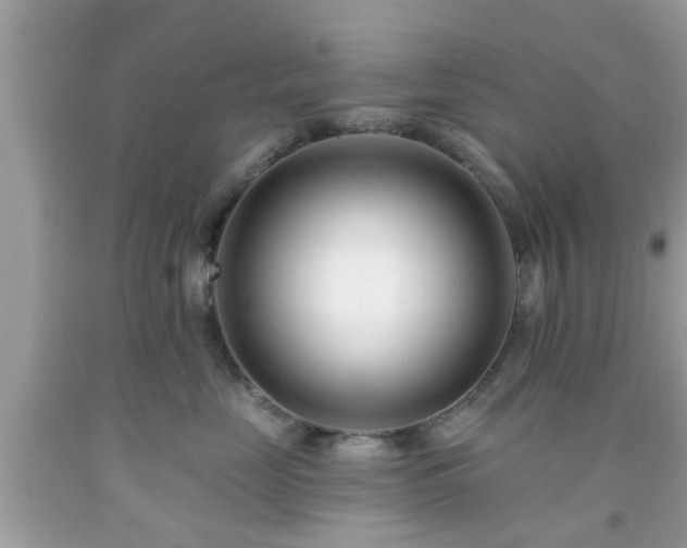 X0000091990669200709131455
