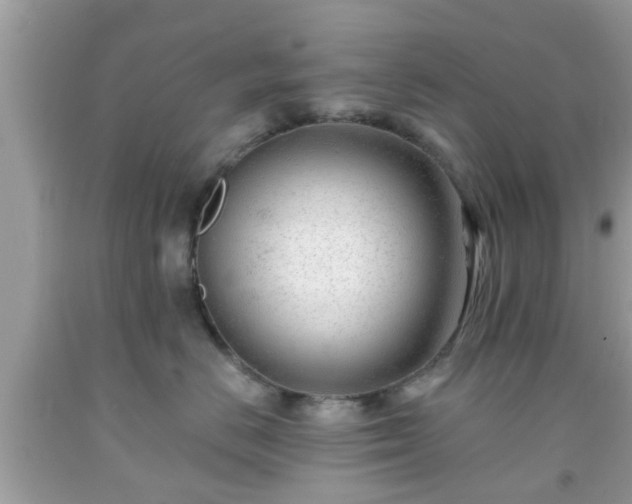 X0000091990670200709131455