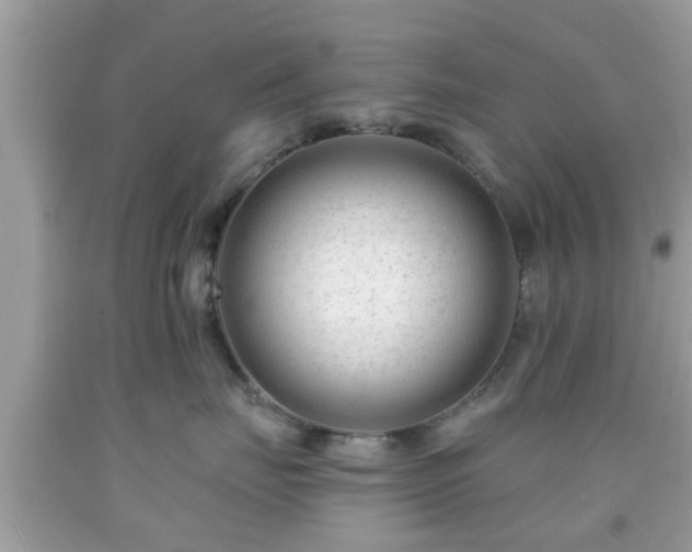 X0000091990671200709131455