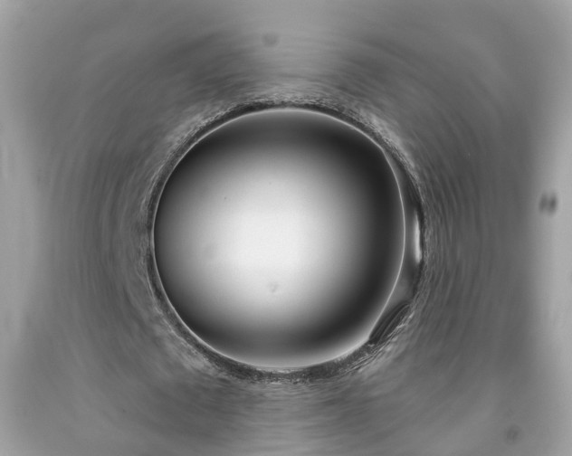 X0000091990673200709131454