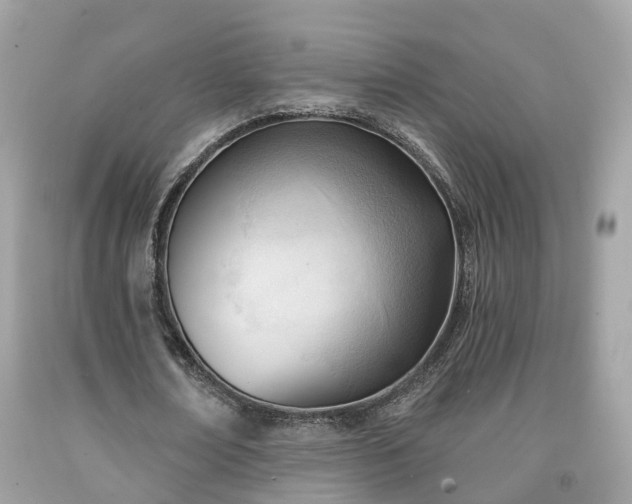 X0000091990674200709131454