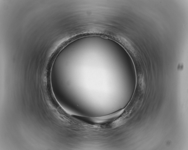 X0000091990676200709131454