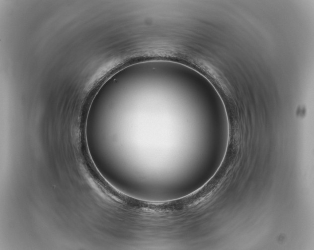X0000091990677200709131454