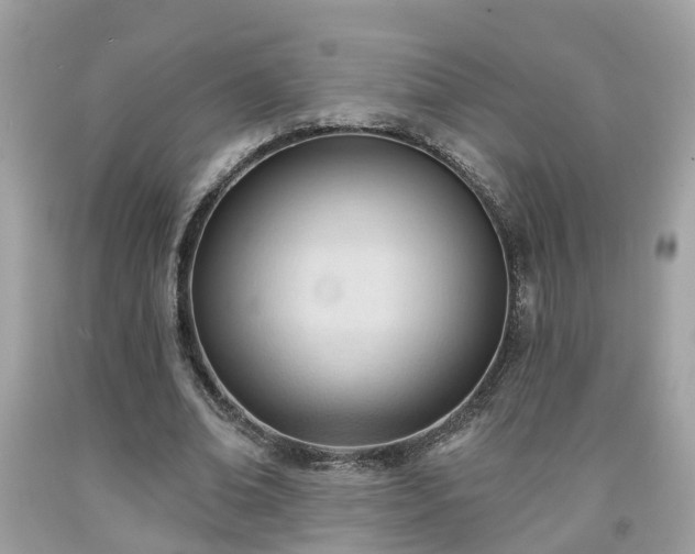 X0000091990678200709131454