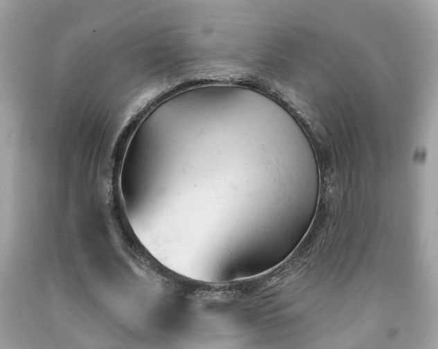 X0000091990679200709131454