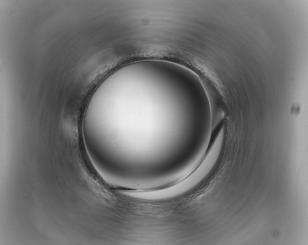 X0000091990681200709131454