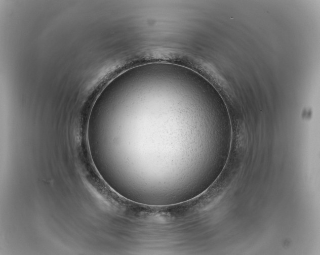 X0000091990683200709131454