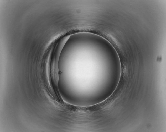 X0000091990684200709131454