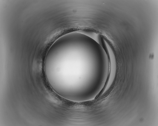 X0000091990685200709131454