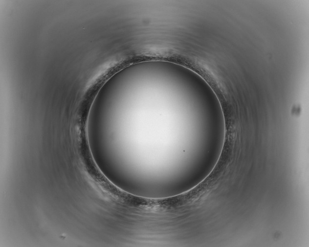 X0000091990688200709131454