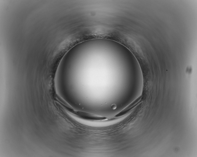 X0000091990689200709131454