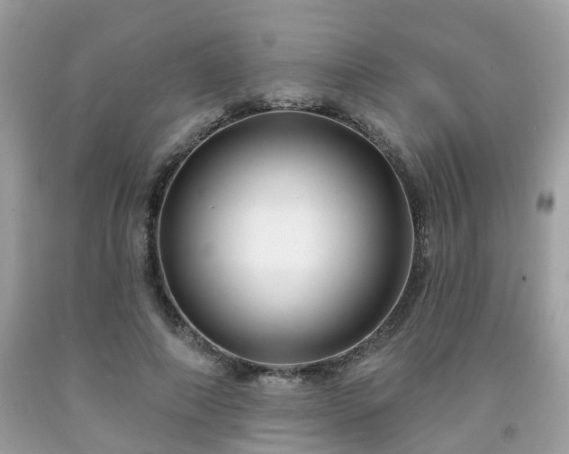 X0000091990690200709131454