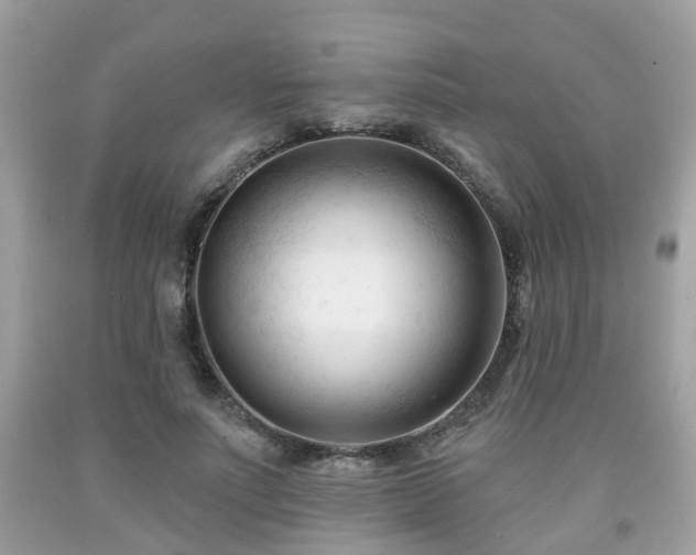 X0000091990691200709131454