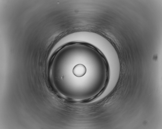 X0000091990693200709131454