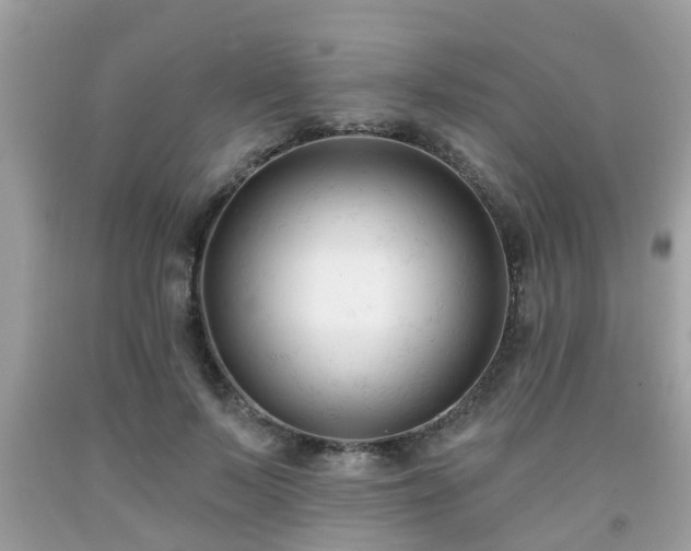 X0000091990695200709131454
