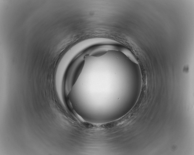 X0000091990696200709131454