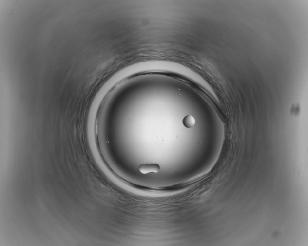X0000091990697200709131454