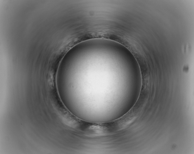 X0000091990699200709131454