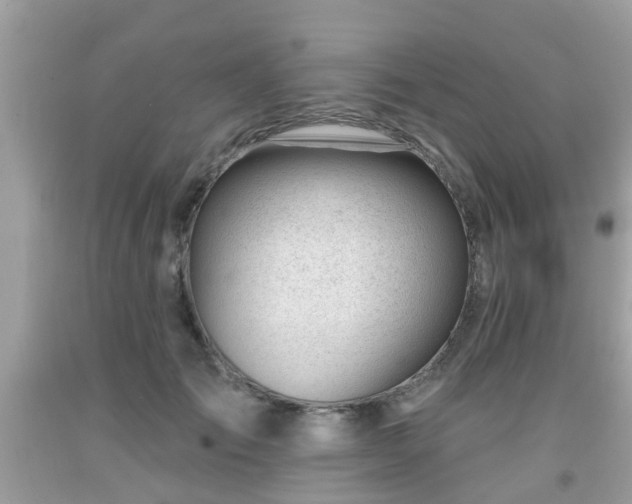 X0000091990701200709131454