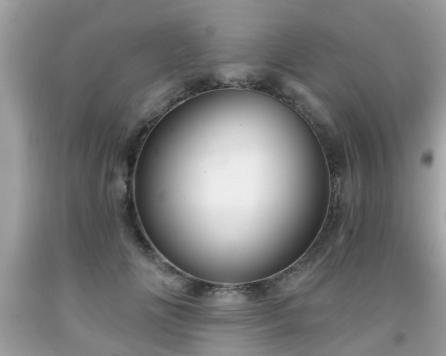 X0000091990702200709131454
