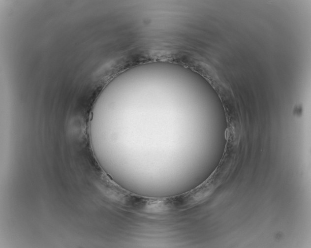 X0000091990705200709131454