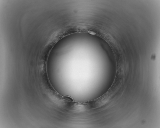 X0000091990706200709131454