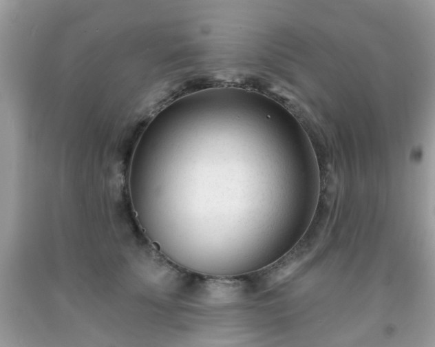 X0000091990707200709131454