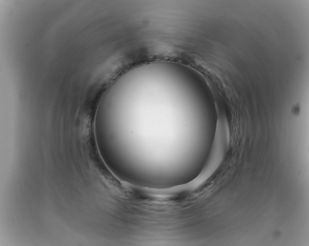 X0000091990708200709131454