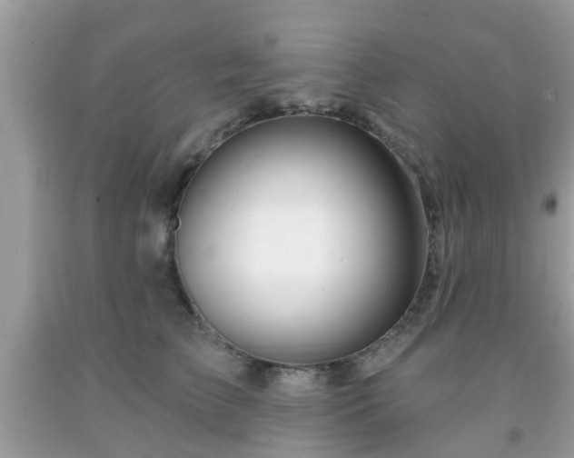 X0000091990709200709131454