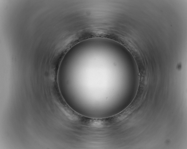 X0000091990710200709131454