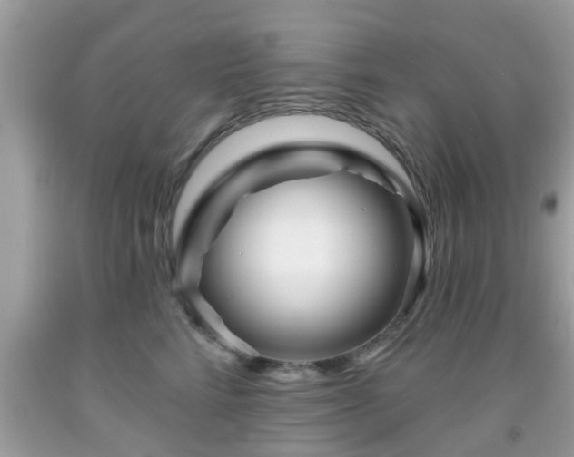 X0000091990712200709131454