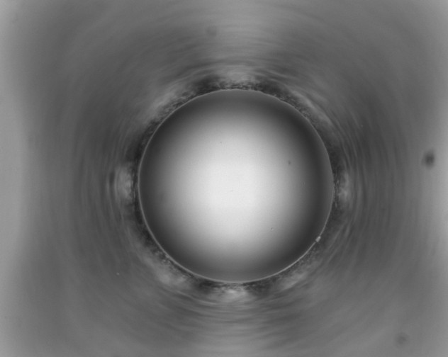 X0000091990715200709131454