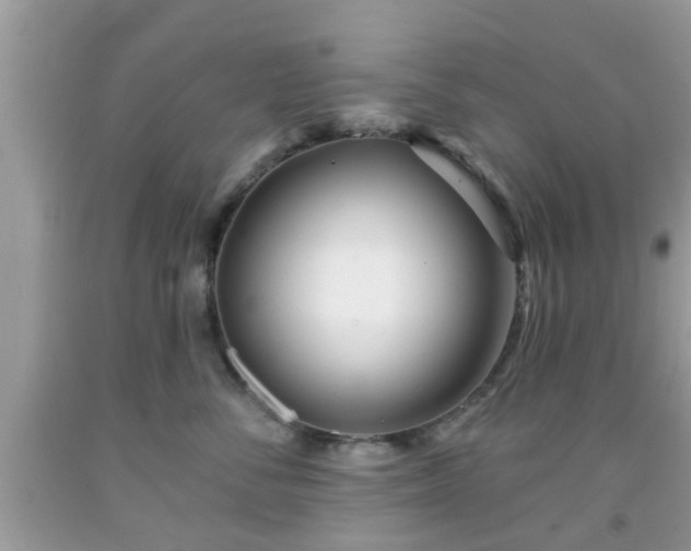 X0000091990716200709131454
