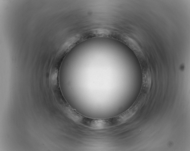X0000091990717200709131454