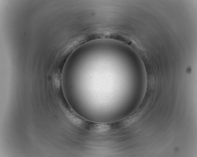 X0000091990719200709131454