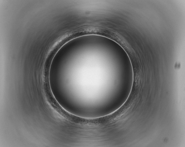X0000091990722200709131453