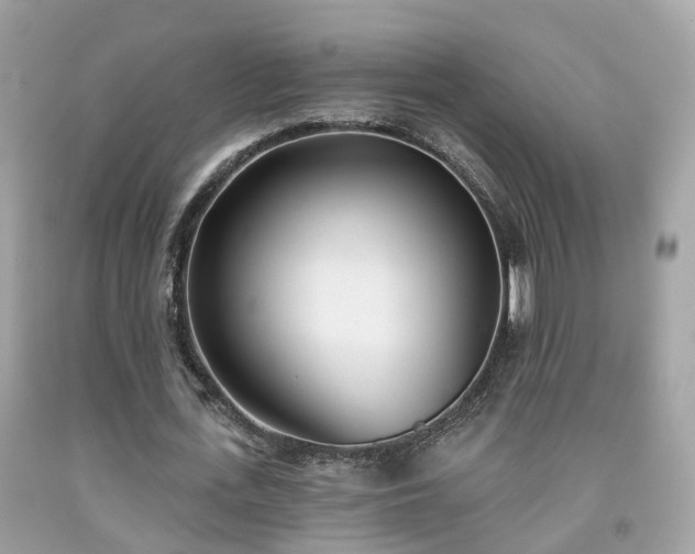 X0000091990723200709131453